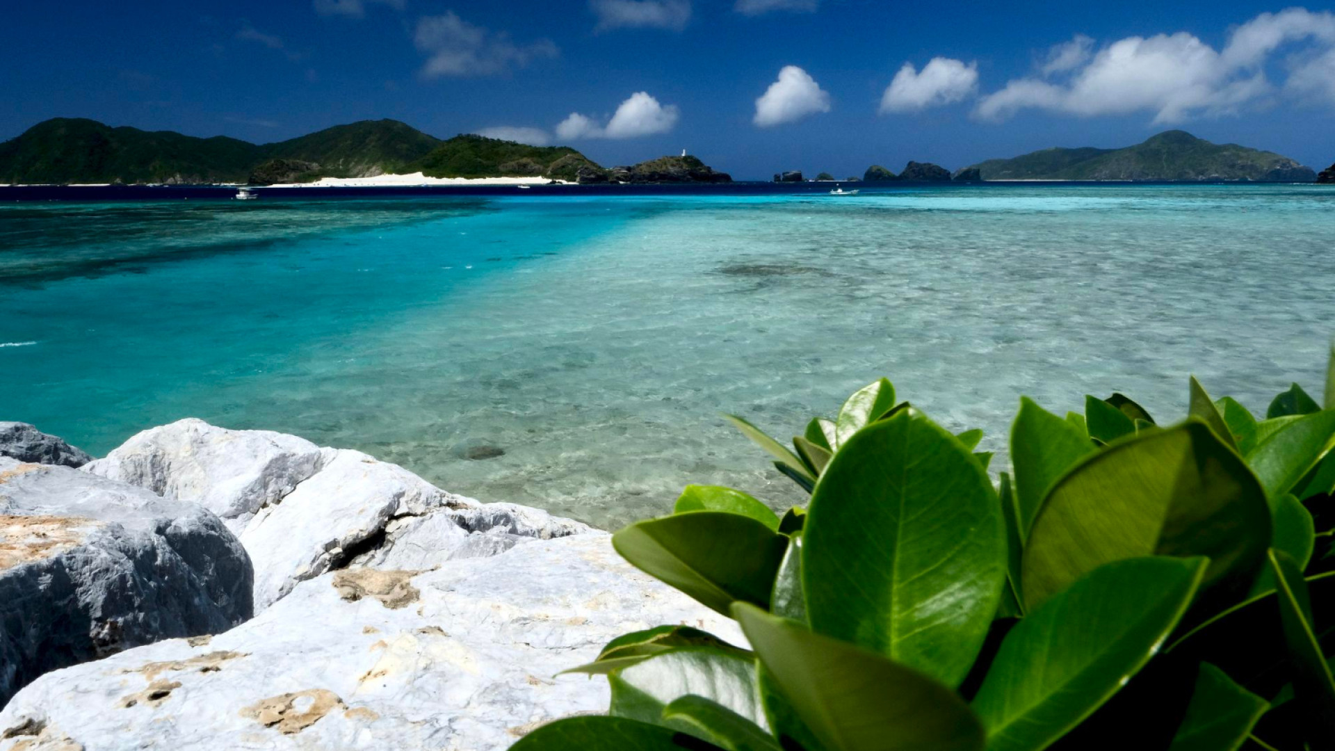 Séjour balnéaire ou aventure : comment choisir le programme parfait à Maurice ?